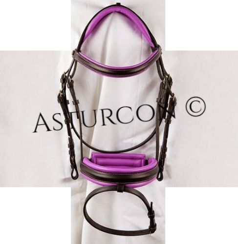 English Bridle San Jorge